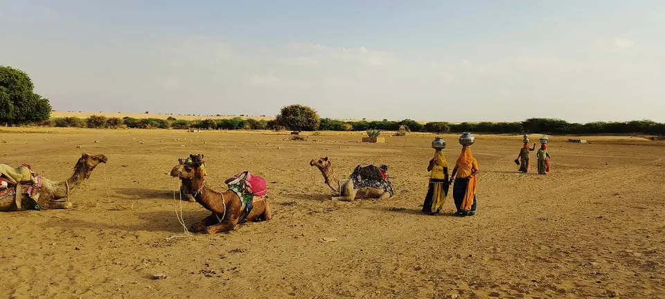 Camels resting on the sand near Jaisalmer with women in traditional dress carrying water pots
