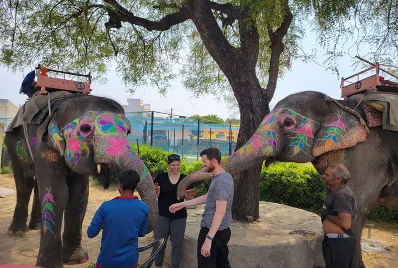 Visitors meeting painted elephants at the elephant village near Amer, Jaipur