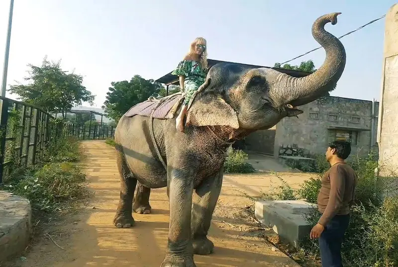 Visitor riding an elephant along a village path at Hathi Gaon, Jaipur