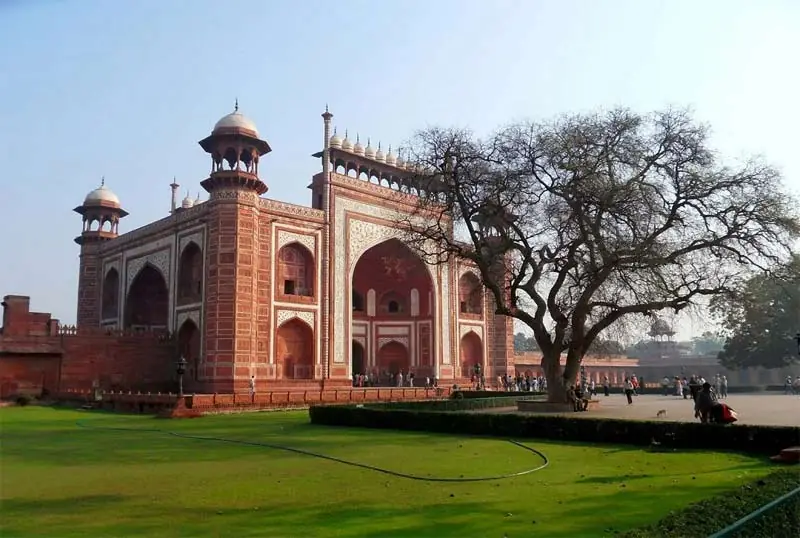 Red sandstone Mughal building with white domes beside a large tree in Agra