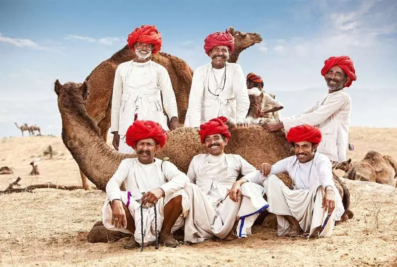 Group of Rajasthani men in red turbans sitting with a camel